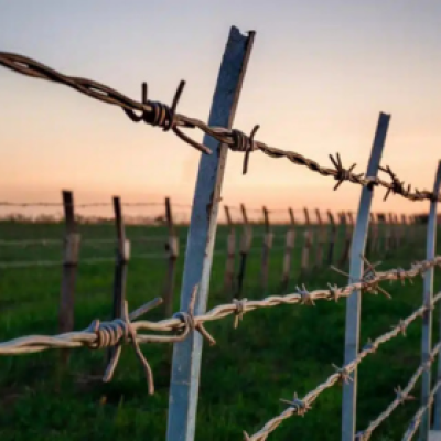 barbed wire